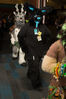 Filename=DSC_4165.jpg
Filesize=6014KiB
Dimensions=4912x7360
Date added=Jan 28, 2017 DSC_4165.jpg