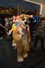 Filename=DSC_4169.jpg
Filesize=5454KiB
Dimensions=4912x7360
Date added=Jan 28, 2017 DSC_4169.jpg