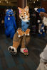 Filename=DSC_4173.jpg
Filesize=7213KiB
Dimensions=4912x7360
Date added=Jan 28, 2017 DSC_4173.jpg