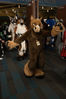 Filename=DSC_4175.jpg
Filesize=6752KiB
Dimensions=4912x7360
Date added=Jan 28, 2017 DSC_4175.jpg