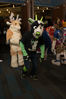 Filename=DSC_4178.jpg
Filesize=5275KiB
Dimensions=4912x7360
Date added=Jan 28, 2017 DSC_4178.jpg