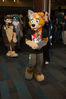 Filename=DSC_4238.jpg
Filesize=6522KiB
Dimensions=4912x7360
Date added=Jan 28, 2017 DSC_4238.jpg