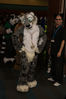 Filename=DSC_4241.jpg
Filesize=4331KiB
Dimensions=4912x7360
Date added=Jan 28, 2017 DSC_4241.jpg