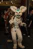 Filename=DSC_4244.jpg
Filesize=4783KiB
Dimensions=4912x7360
Date added=Jan 28, 2017 DSC_4244.jpg