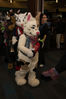 Filename=DSC_4249.jpg
Filesize=4551KiB
Dimensions=4912x7360
Date added=Jan 28, 2017 DSC_4249.jpg