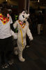 Filename=DSC_4254.jpg
Filesize=4273KiB
Dimensions=4912x7360
Date added=Jan 28, 2017 DSC_4254.jpg