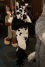 Filename=DSC_4322.jpg
Filesize=5287KiB
Dimensions=4912x7360
Date added=Jan 28, 2017 DSC_4322.jpg