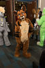 Filename=DSC_4392.jpg
Filesize=7411KiB
Dimensions=4912x7360
Date added=Jan 28, 2017 DSC_4392.jpg