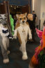 Filename=DSC_4395.jpg
Filesize=6339KiB
Dimensions=4912x7360
Date added=Jan 28, 2017 DSC_4395.jpg