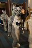 Filename=DSC_4396.jpg
Filesize=6763KiB
Dimensions=4912x7360
Date added=Jan 28, 2017 DSC_4396.jpg