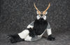 Filename=DSC_1661.jpg
Filesize=5796KiB
Dimensions=7360x4790
Date added=Jan 28, 2017 DSC_1661.jpg