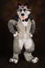 Filename=DSC_3747.jpg
Filesize=4867KiB
Dimensions=4912x7360
Date added=Jan 28, 2017 DSC_3747.jpg