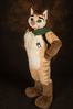 Filename=DSC_4572.jpg
Filesize=4519KiB
Dimensions=4912x7360
Date added=Jan 28, 2017 DSC_4572.jpg