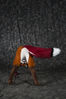 Filename=DSC_4190.jpg
Filesize=5524KiB
Dimensions=4912x7360
Date added=Jan 28, 2018 DSC_4190.jpg