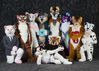 Filename=DSC_4193.jpg
Filesize=3630KiB
Dimensions=5141x3701
Date added=Jan 28, 2018 DSC_4193.jpg