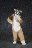 Filename=DSC_4248.jpg
Filesize=6832KiB
Dimensions=4912x7360
Date added=Jan 28, 2018 DSC_4248.jpg