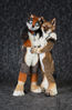 Filename=DSC_4272.jpg
Filesize=5210KiB
Dimensions=4289x6520
Date added=Jan 28, 2018 DSC_4272.jpg