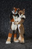 Filename=DSC_4273.jpg
Filesize=4871KiB
Dimensions=4289x6520
Date added=Jan 28, 2018 DSC_4273.jpg