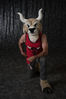 Filename=DSC_4821.jpg
Filesize=3779KiB
Dimensions=4912x7360
Date added=Jan 28, 2018 DSC_4821.jpg