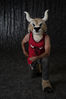 Filename=DSC_4822.jpg
Filesize=3709KiB
Dimensions=4912x7360
Date added=Jan 28, 2018 DSC_4822.jpg