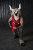 Filename=DSC_4823.jpg
Filesize=4556KiB
Dimensions=4912x7360
Date added=Jan 28, 2018 DSC_4823.jpg