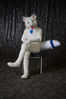 Filename=DSC_4824.jpg
Filesize=5050KiB
Dimensions=4912x7360
Date added=Jan 28, 2018 DSC_4824.jpg