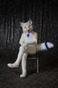 Filename=DSC_4825.jpg
Filesize=4832KiB
Dimensions=4912x7360
Date added=Jan 28, 2018 DSC_4825.jpg