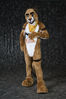 Filename=DSC_4829.jpg
Filesize=6314KiB
Dimensions=4912x7360
Date added=Jan 28, 2018 DSC_4829.jpg