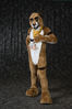 Filename=DSC_4830.jpg
Filesize=4954KiB
Dimensions=4706x7051
Date added=Jan 28, 2018 DSC_4830.jpg