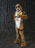 Filename=DSC_4831.jpg
Filesize=4461KiB
Dimensions=4464x6123
Date added=Jan 28, 2018 DSC_4831.jpg