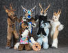 Filename=DSC_4887.jpg
Filesize=5998KiB
Dimensions=5710x4444
Date added=Jan 28, 2018 DSC_4887.jpg