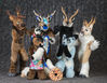 Filename=DSC_4889.jpg
Filesize=5771KiB
Dimensions=5710x4444
Date added=Jan 28, 2018 DSC_4889.jpg