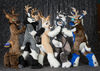 Filename=DSC_4899.jpg
Filesize=5096KiB
Dimensions=5839x4164
Date added=Jan 28, 2018 DSC_4899.jpg