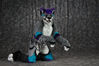 Filename=DSC_5021.jpg
Filesize=4921KiB
Dimensions=6720x4485
Date added=Jan 28, 2018 DSC_5021.jpg
