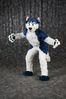 Filename=DSC_5101.jpg
Filesize=5619KiB
Dimensions=4810x7207
Date added=Jan 28, 2018 DSC_5101.jpg