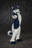 Filename=DSC_5102.jpg
Filesize=4646KiB
Dimensions=4810x7207
Date added=Jan 28, 2018 DSC_5102.jpg
