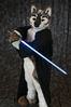 Filename=DSC_5111.jpg
Filesize=6702KiB
Dimensions=4912x7360
Date added=Jan 28, 2018 DSC_5111.jpg