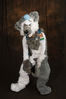 Filename=DSC_6983.jpg
Filesize=4407KiB
Dimensions=4912x7360
Date added=Jan 29, 2018 DSC_6983.jpg