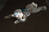Filename=DSC_6986.jpg
Filesize=4925KiB
Dimensions=7360x4912
Date added=Jan 29, 2018 DSC_6986.jpg