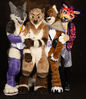 Filename=DSC_4017.jpg
Filesize=4799KiB
Dimensions=4933x5707
Date added=Jan 22, 2024 DSC_4017.jpg