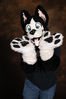 Filename=DSC_4118.jpg
Filesize=5630KiB
Dimensions=5504x8256
Date added=Jan 22, 2024 DSC_4118.jpg