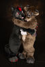 Filename=DSC_4244.jpg
Filesize=7556KiB
Dimensions=5504x8256
Date added=Jan 22, 2024 DSC_4244.jpg