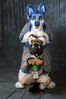 Filename=DSC_2654.jpg
Filesize=5387KiB
Dimensions=4912x7360
Date added=Mar 27, 2017 DSC_2654.jpg