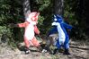 DSC_1273.jpg
