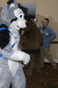 Filename=_DSC2156.jpg
Filesize=4493KiB
Dimensions=2860x4296
Date added=Feb 05, 2008 _DSC2156.jpg