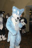 Filename=_DSC2157.jpg
Filesize=4487KiB
Dimensions=2860x4296
Date added=Feb 05, 2008 _DSC2157.jpg