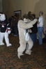 Filename=_DSC2186.jpg
Filesize=5769KiB
Dimensions=2860x4296
Date added=Feb 05, 2008 _DSC2186.jpg