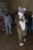 Filename=_DSC2305.jpg
Filesize=5396KiB
Dimensions=2860x4296
Date added=Feb 05, 2008 _DSC2305.jpg