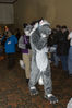 Filename=_DSC2313.jpg
Filesize=5836KiB
Dimensions=2860x4296
Date added=Feb 05, 2008 _DSC2313.jpg