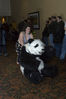 Filename=_DSC2365.jpg
Filesize=5811KiB
Dimensions=2860x4296
Date added=Feb 05, 2008 _DSC2365.jpg
